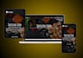 build a responsive wp website or woocommerce store using elementor SEO optimized